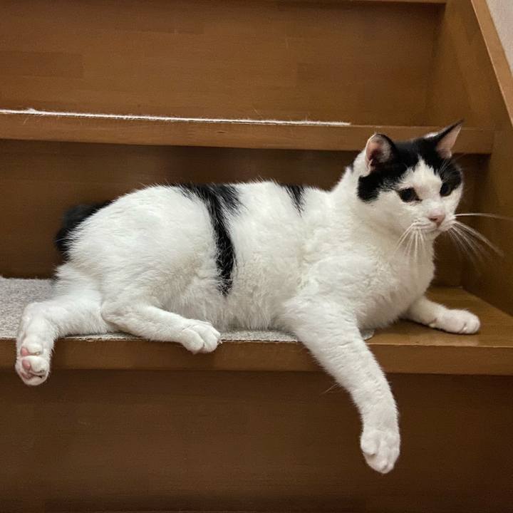 Aed9c1c9 6754 4351 a8bc e31dad3c1de2 1590549813507