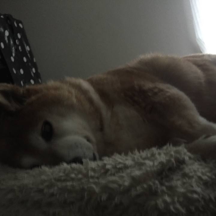 Aed9cf8a 0770 418d 8c61 f75dfbbe436e 1528600187314