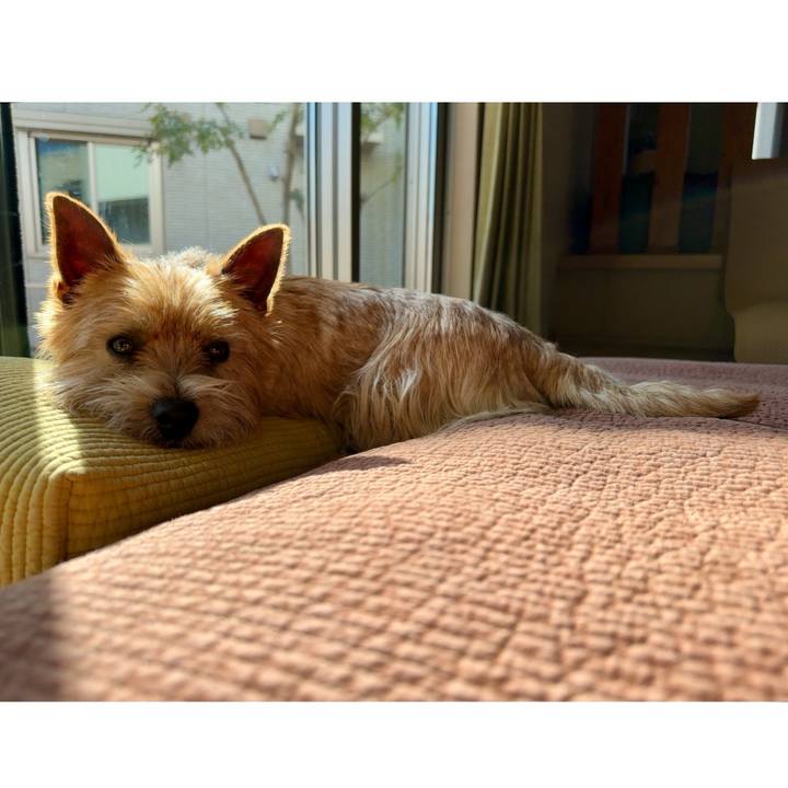 Aed9d878 c91b 4be0 b661 2182a1b77a94 1740839526102