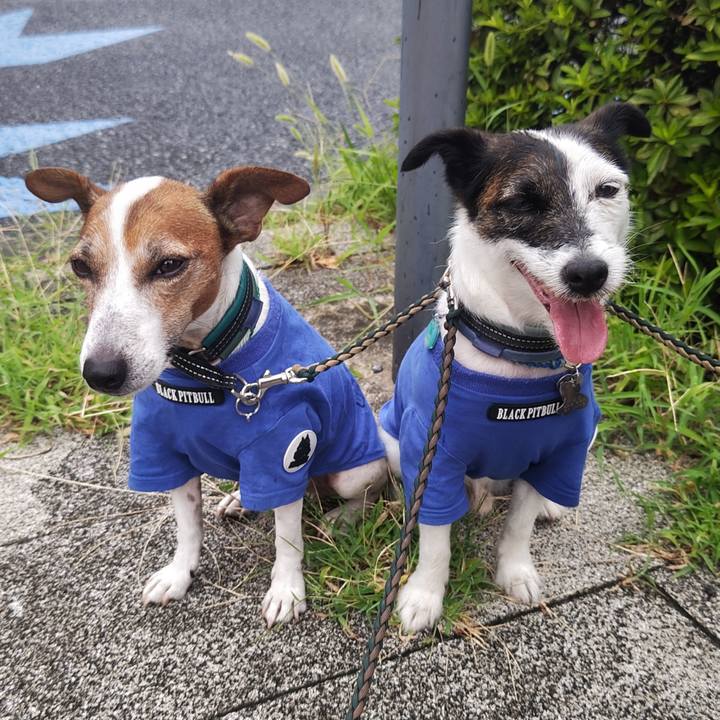 Aed9d99e 899b 45ad a79f c8152f1bf597 1754777468323