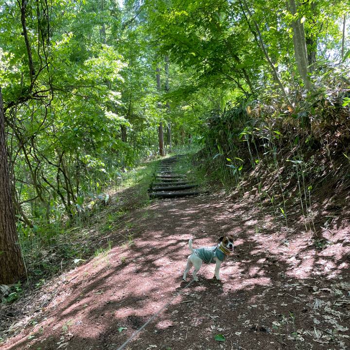 Aed9eab6 1aa0 4bfa 83af 4ad3f969084c 1653725907785