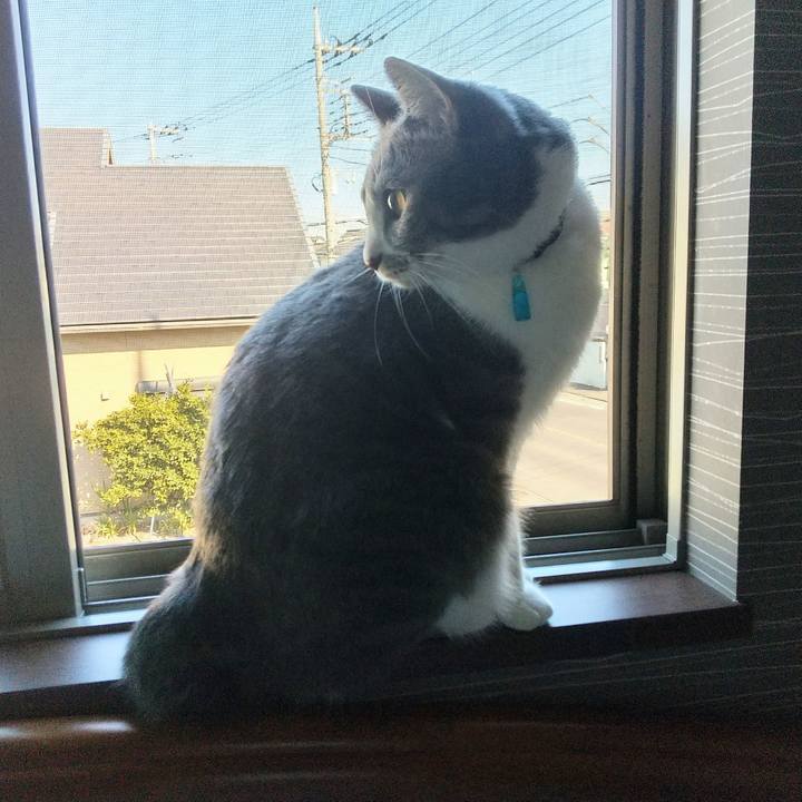 Aeda00f8 d418 4152 a0eb 8f9a3861a4fc 1611278775790