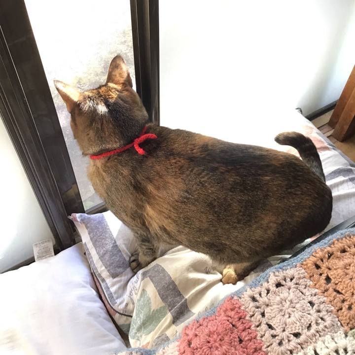 Aeda3a6d 89cf 4016 a5f1 40c7a71a6697 1612831779837