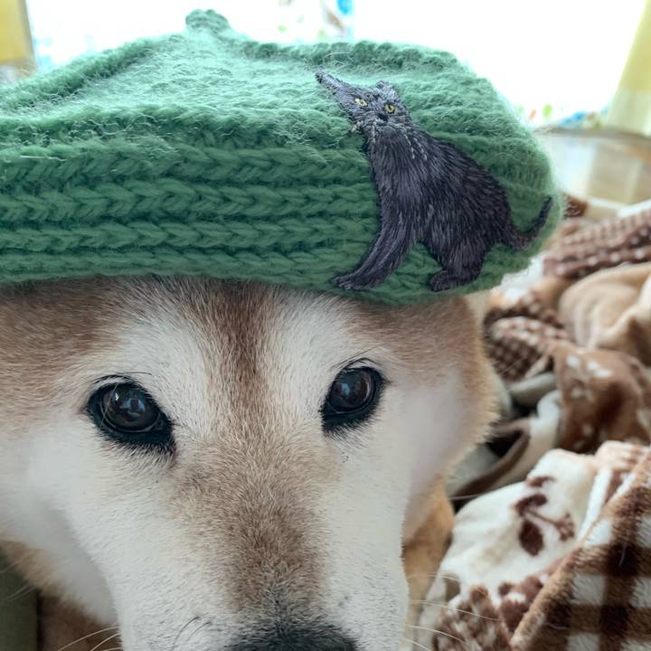 Aeda3d34 d518 49a0 b716 86c71866652f 1574563250003