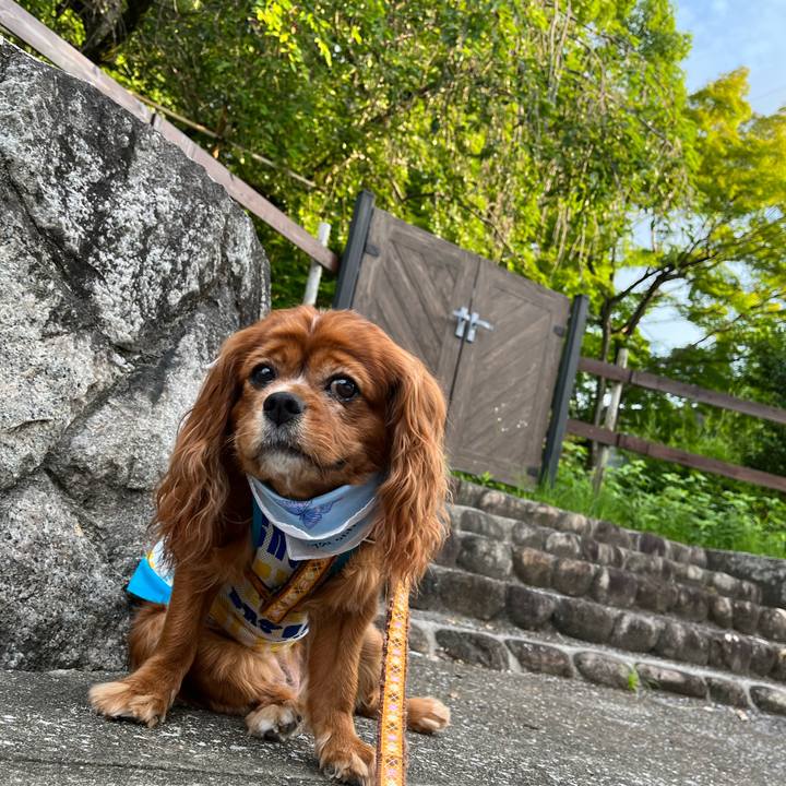 Aeda3d7b 137d 40a2 912e a87e394919a0 1657322569818