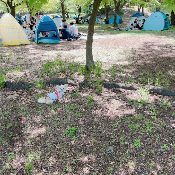 Aeda4134 3269 4898 ba0b d3faafdb6100 1714293305239