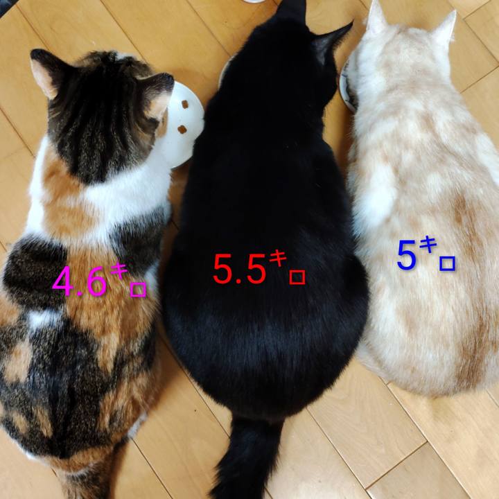 Aeda77f5 1fac 4148 8432 980243003f6d 1766444580162