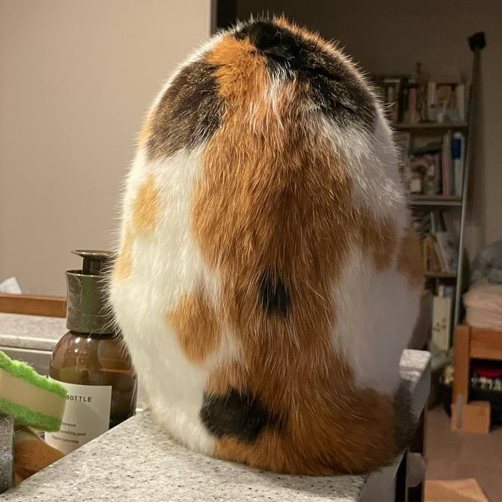 Aeda7957 0bc3 413b a096 508692593e93 1753538059186