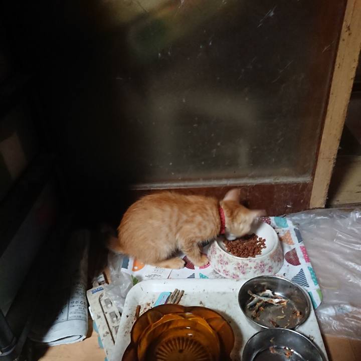 Aedabe55 8898 4fba 93da b1a9869fefe7 1630269654122