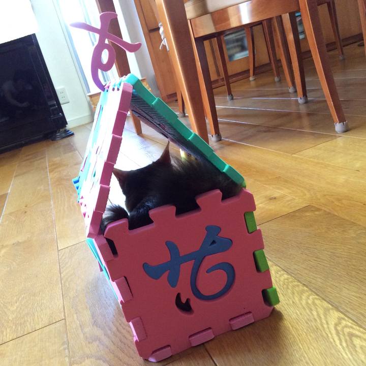 Aedae519 2682 49ca 9c28 76e9e5a64fe0 1565231898111