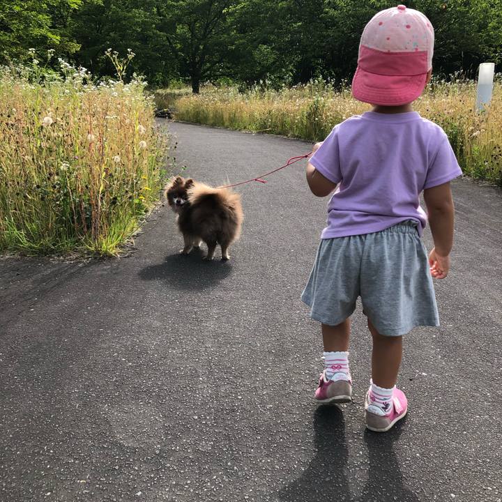 Aedb0e79 b1c5 4641 a55f b6517e6f7611 1626495269790