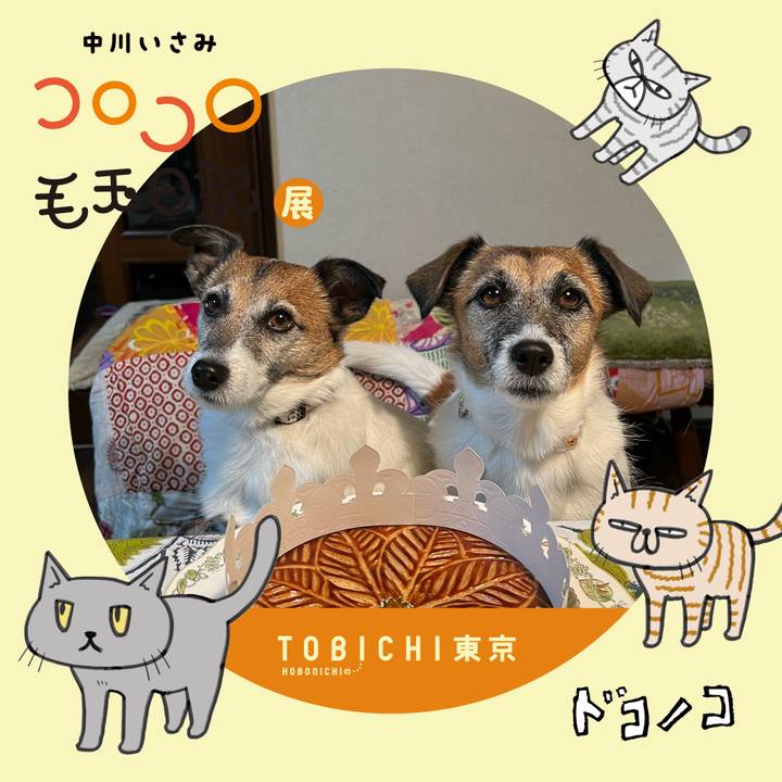 Aedb2403 f740 4dd3 ba31 19333992b4d1 1740128265836