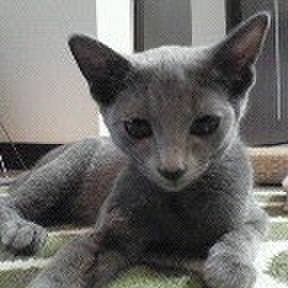 Aedb37d9 5e08 4a21 946b 768f053826fa 1526992726021