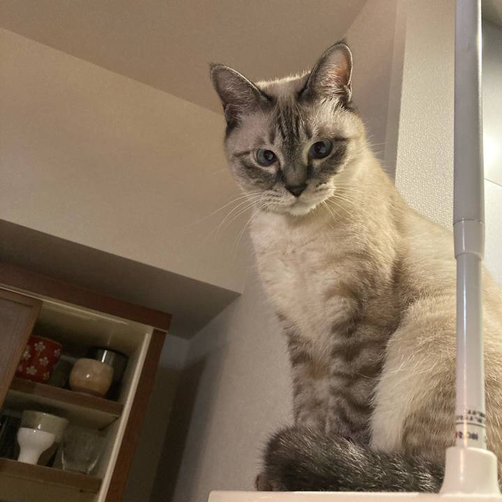 Aedb520b 26b2 4de3 9b16 c2a3d1170765 1693094799832