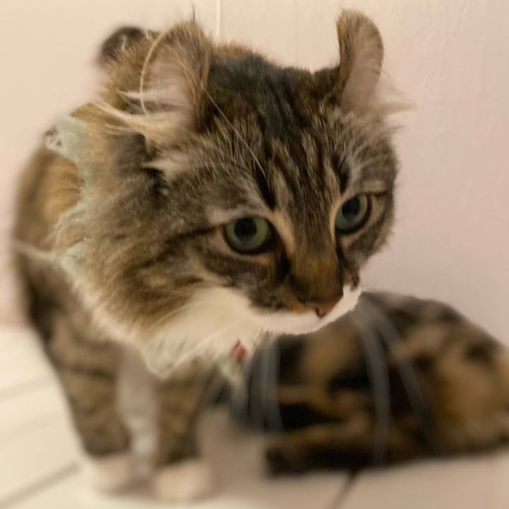 Aedb5370 f7d6 41e6 8ca8 b56030f6a5ef 1615505973071