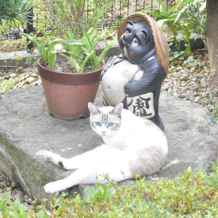 Aedb65f1 eaed 4da9 8f7d 0d539b3be793 1535873179300