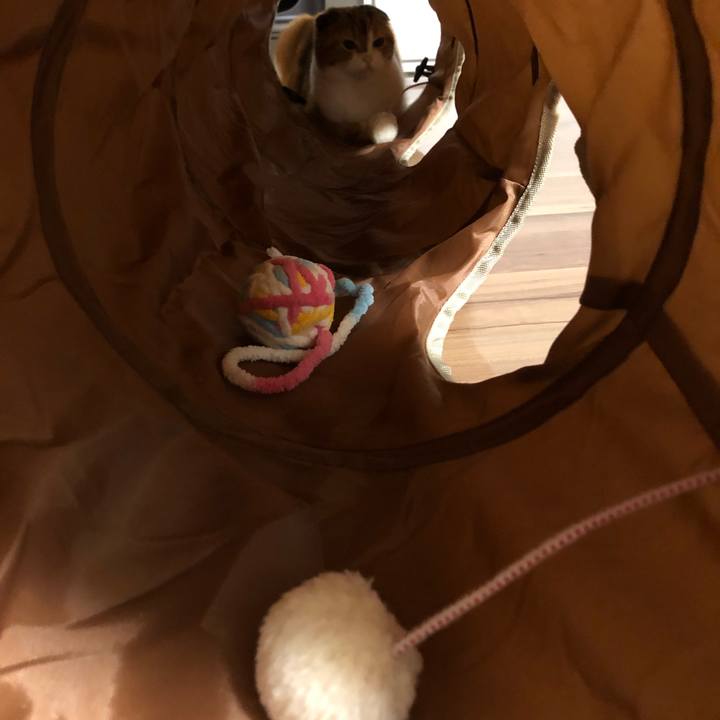 Aedb9085 836a 4e59 908a c3dd1108a3ab 1536156401092