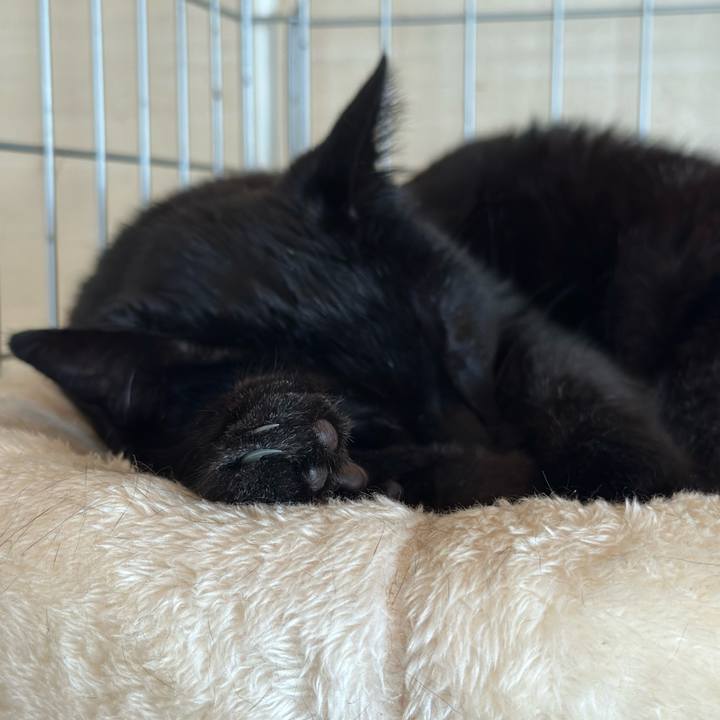 Aedba2d0 10f4 4a34 8f59 74d752af193a 1681352897023