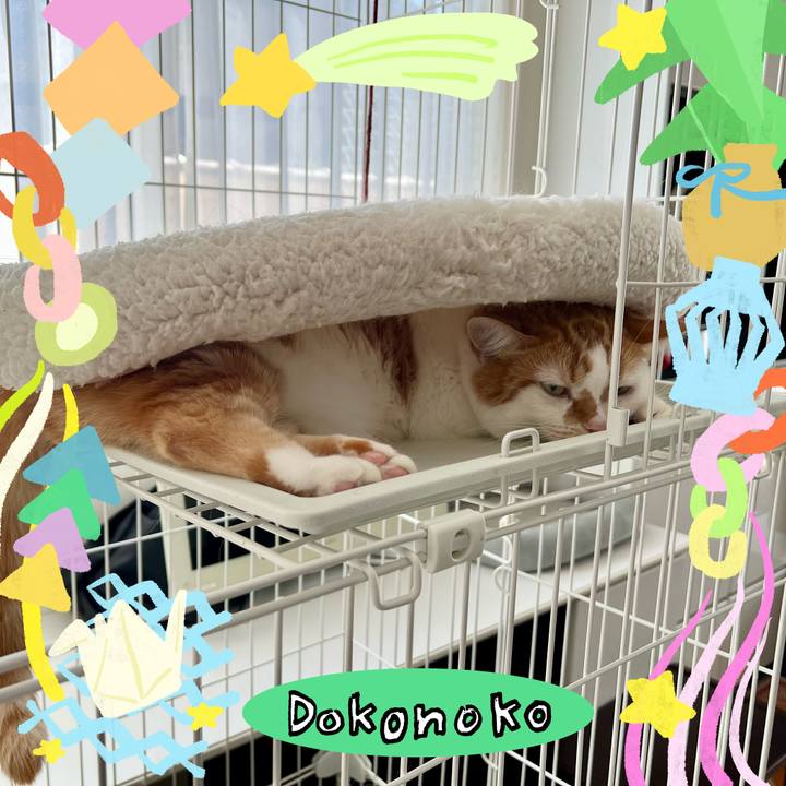 Aedbcf2c e360 44e3 8caf eacc5cc00825 1755401692007