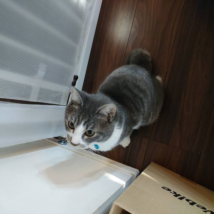 Aedc1f59 985a 4932 97bb bf12cc769d49 1576452797164