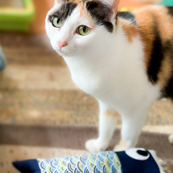 Aedc24e1 7bbc 477e 9f36 d21daf5b1a12 1588643952670