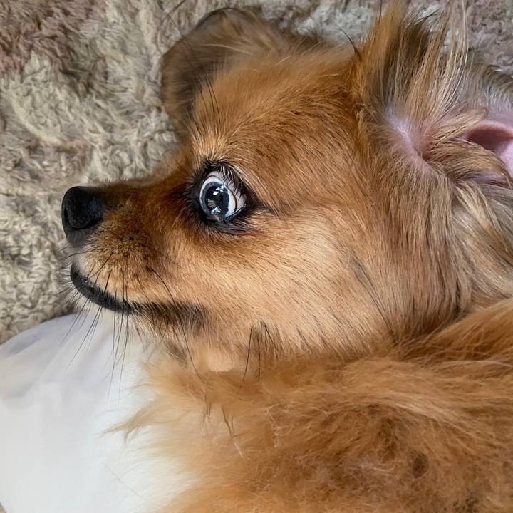 Aedc48e2 f093 4a48 bed9 b157047cf410 1658266342377