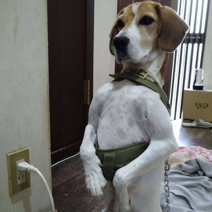 Aedc628c 484d 4aaf 9532 e84308251046 1668488769370