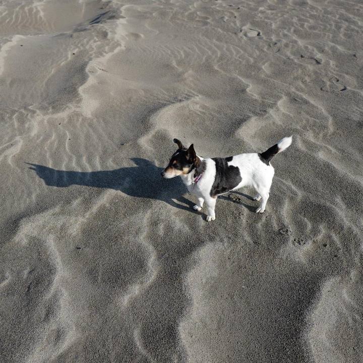 Aedc73b7 a969 4e5a bb01 7b83d17af631 1651115276927