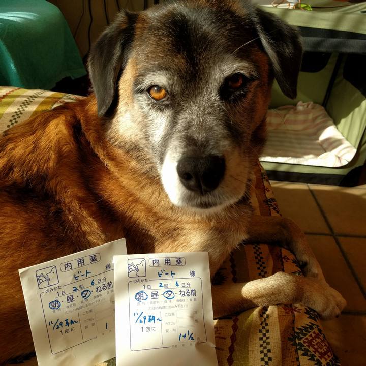 Aedc78c8 7ab0 4655 b88b 366206e17a15 1511918030529