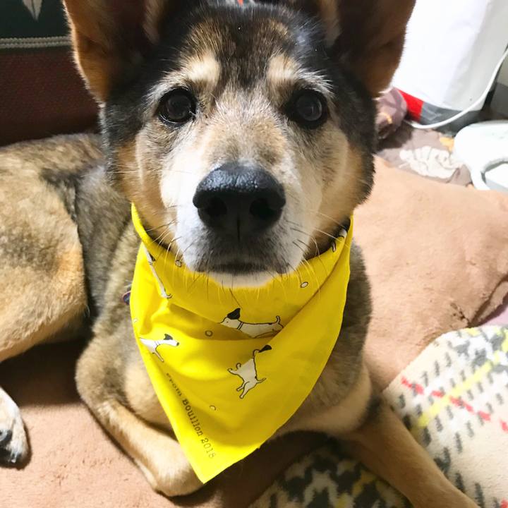 Aedca1c6 568f 4777 9468 42ea537a629f 1524306380110