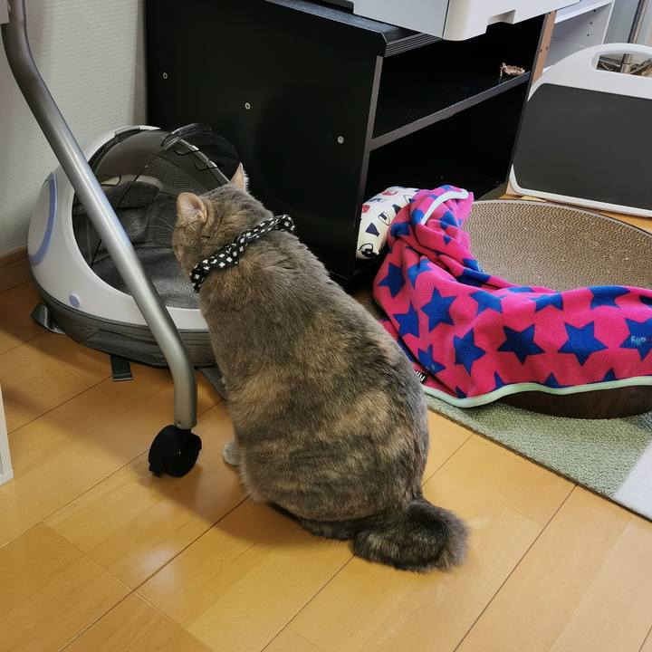 Aedca929 dedf 45a0 bf8c cd9f176699bd 1666928283168