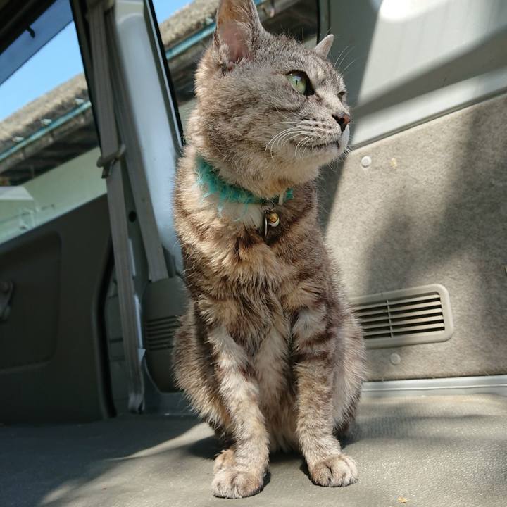 Aedcad64 05d2 4664 817a 4945cd67c30a 1566696061520