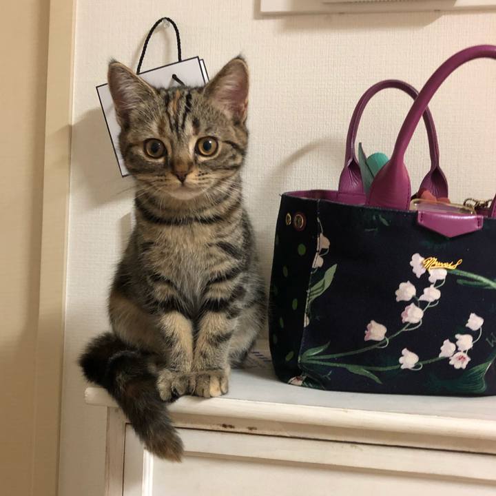 Aedcc3da 65c2 4c70 99df ad5281cc461e 1580122453208