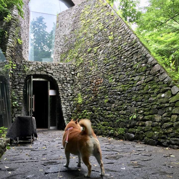 Aedcc660 b457 43cb 8d2f 9817a38642cd 1563715369167