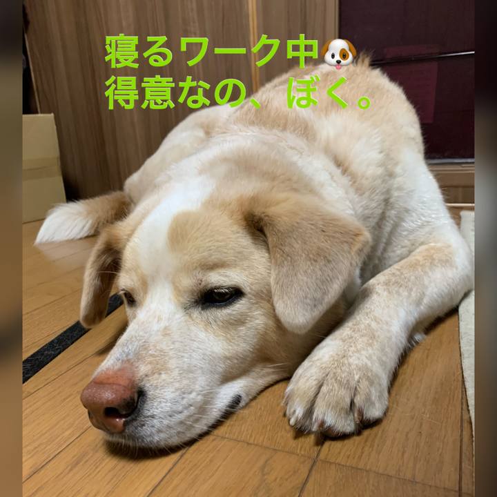 Aedce503 01ed 47bc 9248 aabcedbec9c4 1586786895026