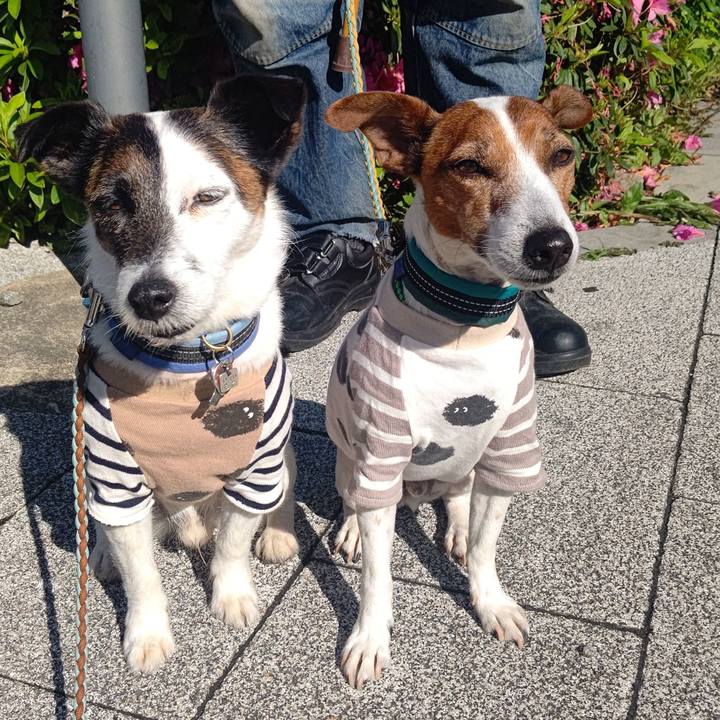 Aedd4233 cd4b 4de9 b548 81202e2cf448 1715297963636