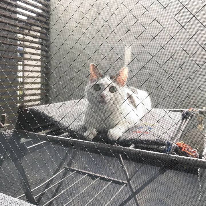 Aedd4d3c 3951 4039 abe9 b56a718bfa26 1563703223246