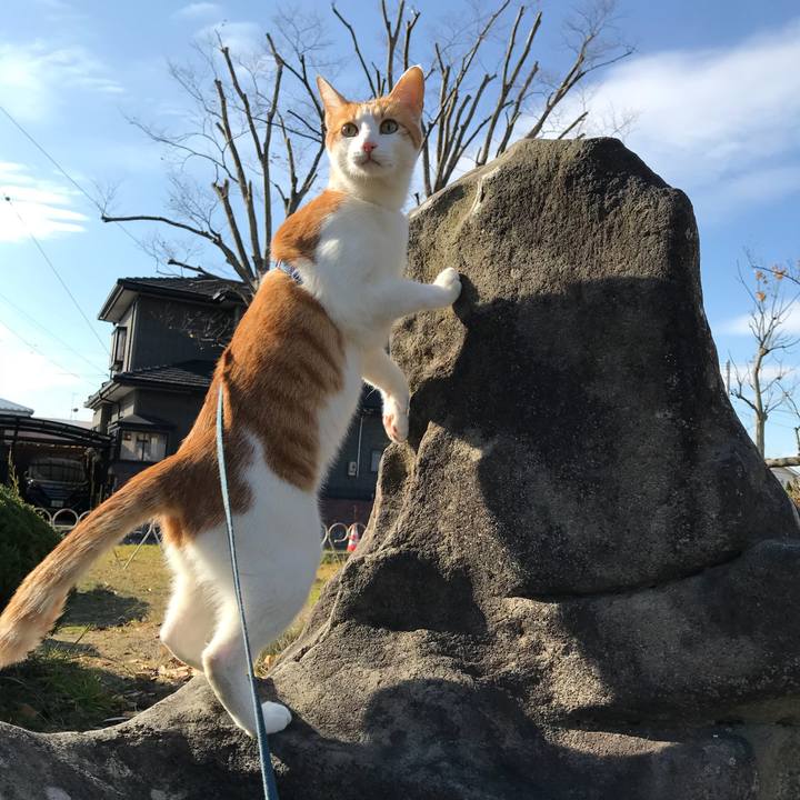 Aedd5db7 f546 4696 8c0e 1fd9a02431cc 1512024138676