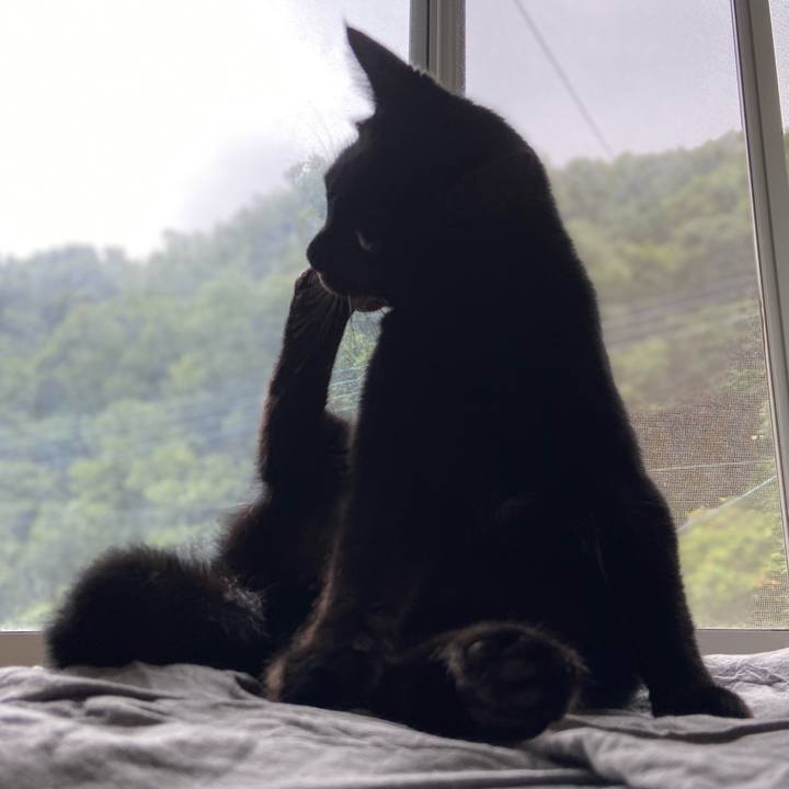 Aedd7e3a f7fa 435a aeea d5fe5b46e947 1625269673053