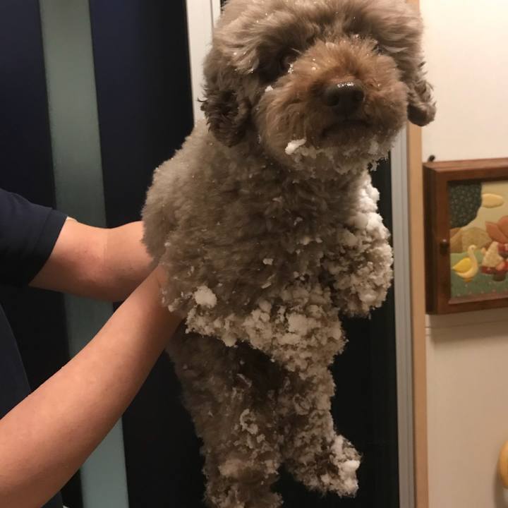 Aedd86d3 d20f 4fce ab1e 13033172936b 1516629717477