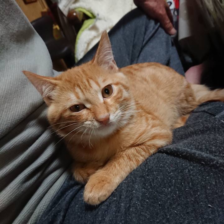 Aedda0f9 a36f 4243 ba6a 533d59359f21 1633947570750