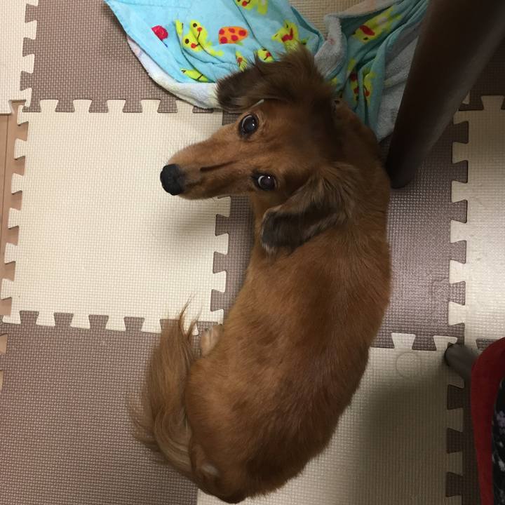 Aeddbbbf ca6e 4b45 84b9 ab48abfba0f3 1534597657850