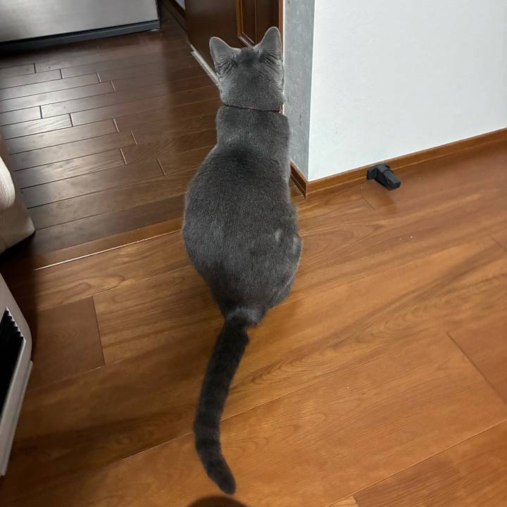 Aedde542 dfc2 4f12 adeb 7ceb94d49f72 1772803116177