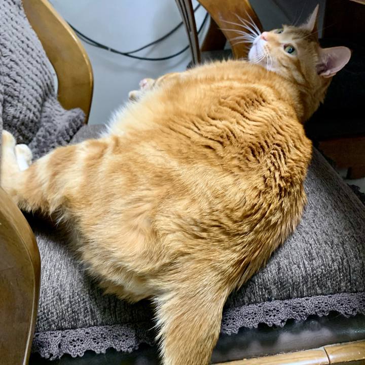 Aedde5d5 8311 41c2 9fcd d9e1210534c9 1610923948670