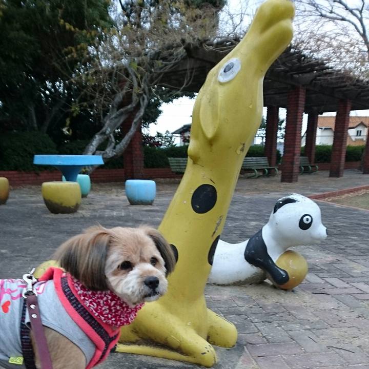 Aeddf403 2149 4d27 9968 65dbdbc4b340 1513726397274