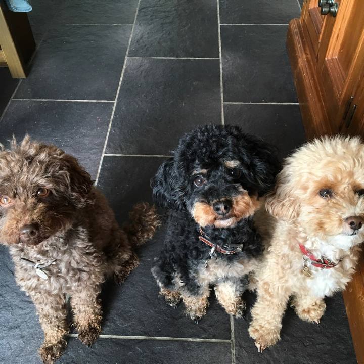 Aeddf961 8ba5 4a91 bbb1 0c2fd688b57b 1528010777169