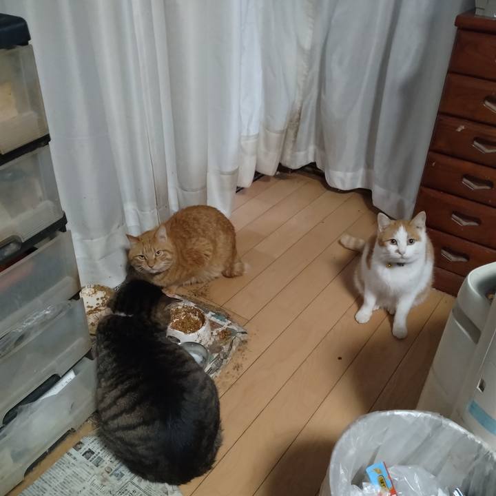 Aede2842 e3e6 41c2 9364 8b52297b7780 1768553904921