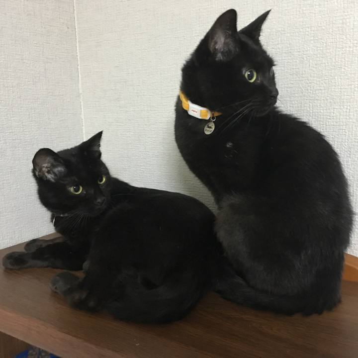 Aede383d 7d31 4f6d a711 6ce28f85f10b 1532349498074