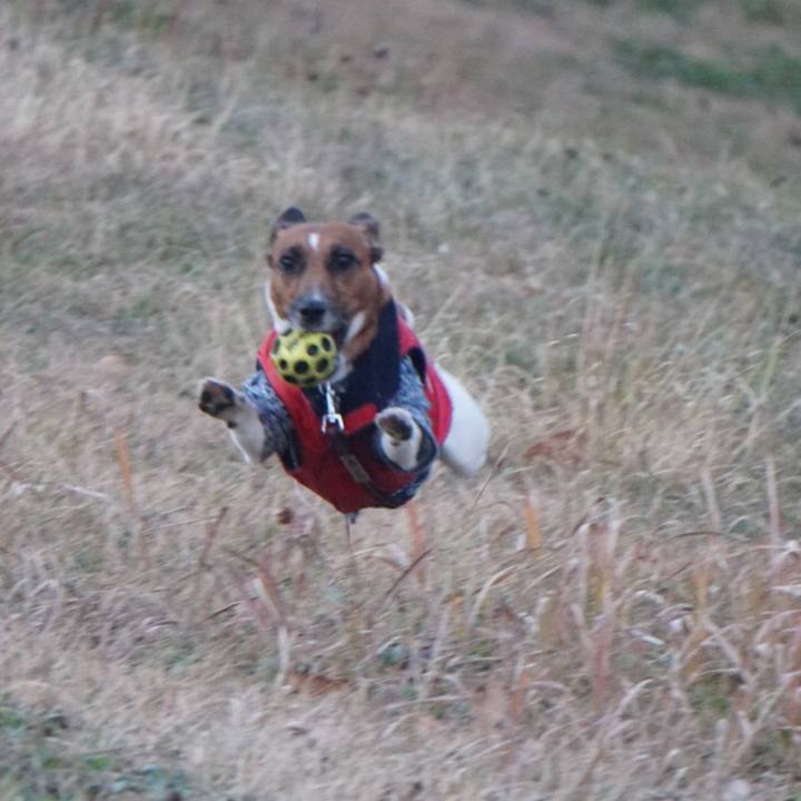 Aede3a82 0bd6 469b b3be d6b2c64b2826 1513551024683