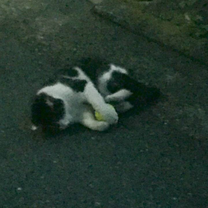 Aede74e0 f0ec 4074 8271 d72fad2db419 1511262536726